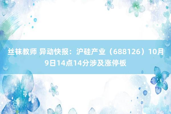 丝袜教师 异动快报：沪硅产业（688126）10月9日14点14分涉及涨停板