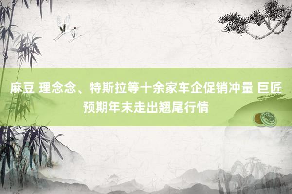 麻豆 理念念、特斯拉等十余家车企促销冲量 巨匠预期年末走出翘尾行情