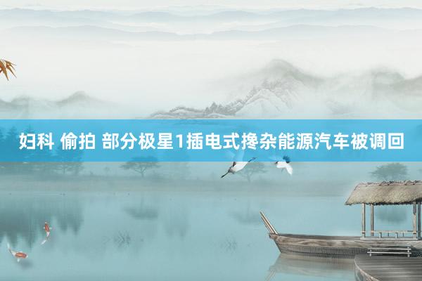 妇科 偷拍 部分极星1插电式搀杂能源汽车被调回