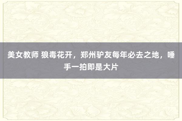 美女教师 狼毒花开，郑州驴友每年必去之地，唾手一拍即是大片