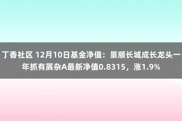 丁香社区 12月10日基金净值：景顺长城成长龙头一年抓有羼杂A最新净值0.8315，涨1.9%