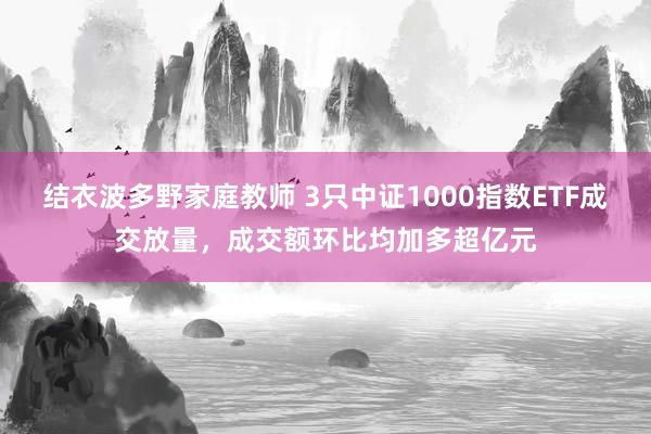 结衣波多野家庭教师 3只中证1000指数ETF成交放量，成交额环比均加多超亿元