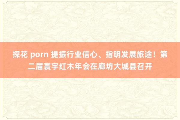 探花 porn 提振行业信心、指明发展旅途！第二届寰宇红木年会在廊坊大城县召开