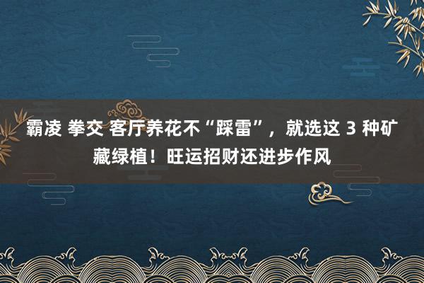 霸凌 拳交 客厅养花不“踩雷”，就选这 3 种矿藏绿植！旺运招财还进步作风