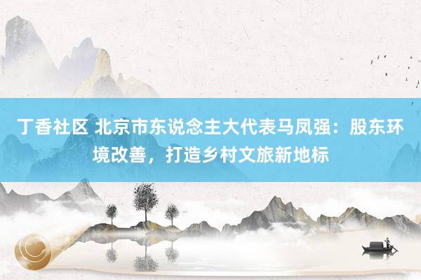 丁香社区 北京市东说念主大代表马凤强：股东环境改善，打造乡村文旅新地标