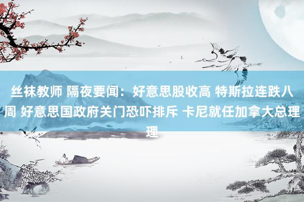丝袜教师 隔夜要闻：好意思股收高 特斯拉连跌八周 好意思国政府关门恐吓排斥 卡尼就任加拿大总理