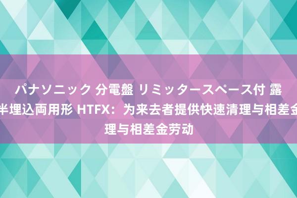 パナソニック 分電盤 リミッタースペース付 露出・半埋込両用形 HTFX：为来去者提供快速清理与相差金劳动