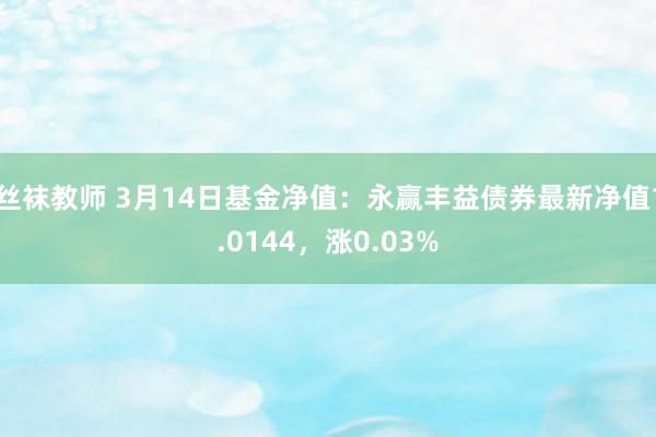 丝袜教师 3月14日基金净值：永赢丰益债券最新净值1.0144，涨0.03%