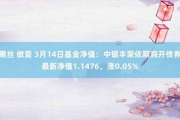 黑丝 做爱 3月14日基金净值：中银丰荣依期洞开债券最新净值1.1476，涨0.05%