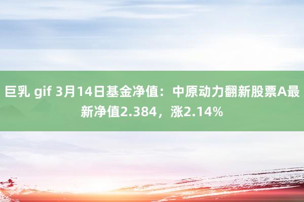 巨乳 gif 3月14日基金净值：中原动力翻新股票A最新净值2.384，涨2.14%
