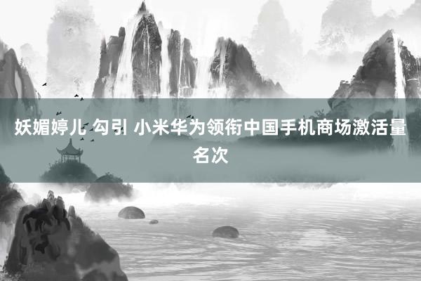 妖媚婷儿 勾引 小米华为领衔中国手机商场激活量名次