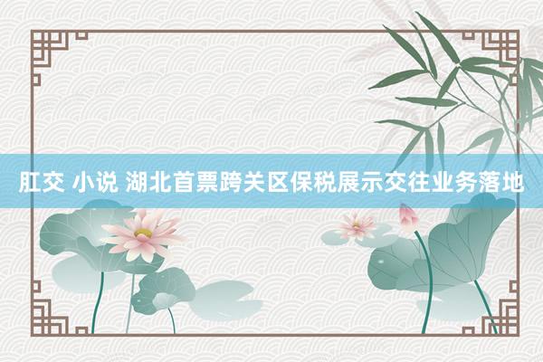 肛交 小说 湖北首票跨关区保税展示交往业务落地