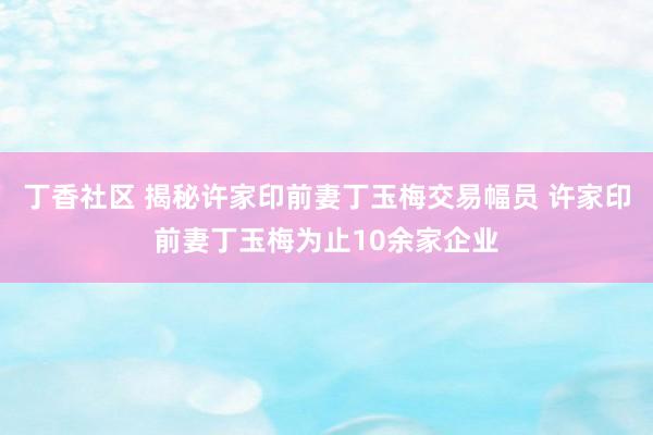 丁香社区 揭秘许家印前妻丁玉梅交易幅员 许家印前妻丁玉梅为止10余家企业