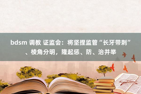 bdsm 调教 证监会：将坚捏监管“长牙带刺”、棱角分明，隆起惩、防、治并举