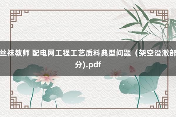 丝袜教师 配电网工程工艺质料典型问题（架空澄澈部分).pdf