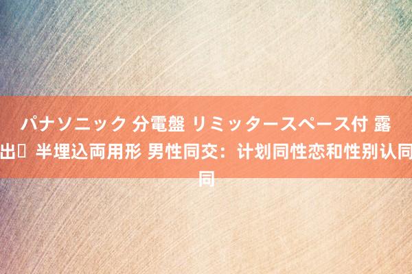パナソニック 分電盤 リミッタースペース付 露出・半埋込両用形 男性同交：计划同性恋和性别认同