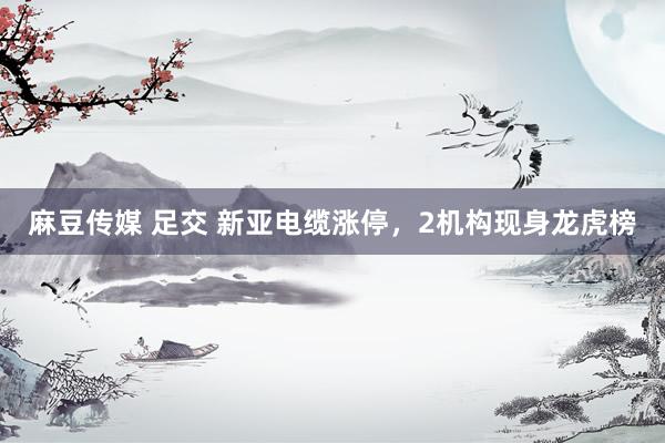 麻豆传媒 足交 新亚电缆涨停，2机构现身龙虎榜