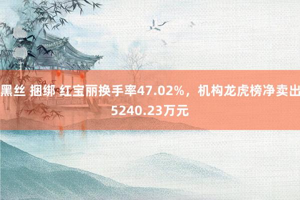黑丝 捆绑 红宝丽换手率47.02%，机构龙虎榜净卖出5240.23万元