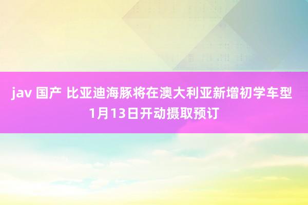 jav 国产 比亚迪海豚将在澳大利亚新增初学车型 1月13日开动摄取预订