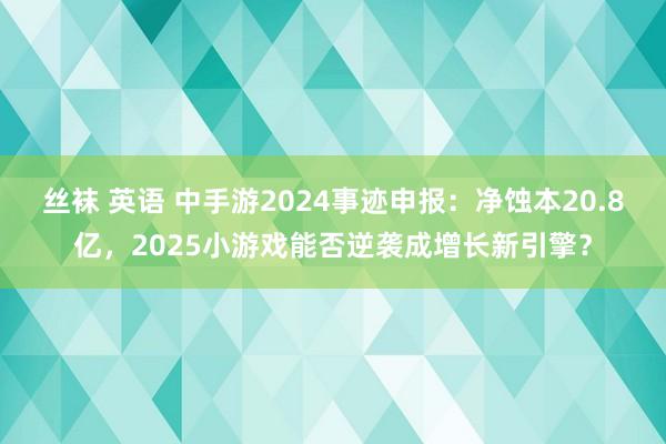 丝袜 英语 中手游2024事迹申报：净蚀本20.8亿，2025小游戏能否逆袭成增长新引擎？