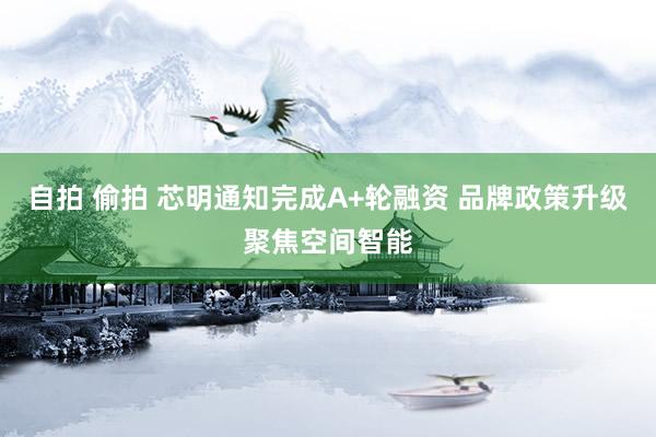 自拍 偷拍 芯明通知完成A+轮融资 品牌政策升级聚焦空间智能