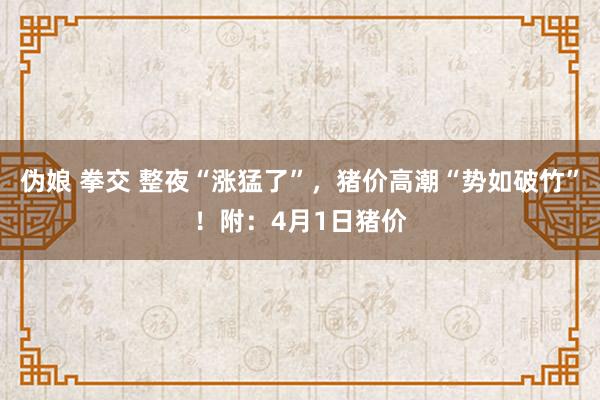 伪娘 拳交 整夜“涨猛了”，猪价高潮“势如破竹”！附：4月1日猪价