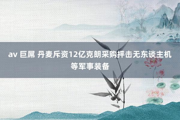 av 巨屌 丹麦斥资12亿克朗采购抨击无东谈主机等军事装备