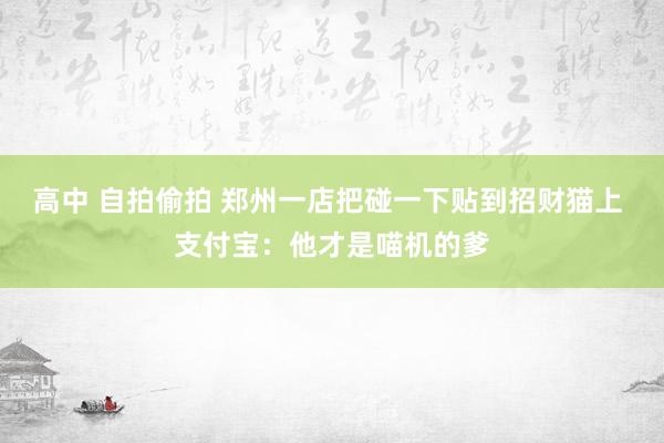 高中 自拍偷拍 郑州一店把碰一下贴到招财猫上 支付宝：他才是喵机的爹