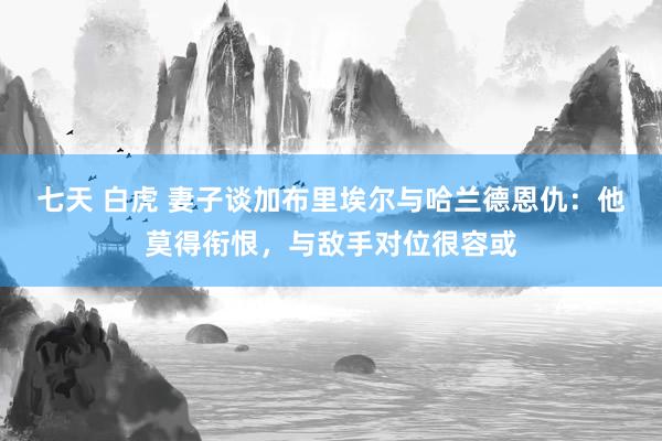 七天 白虎 妻子谈加布里埃尔与哈兰德恩仇：他莫得衔恨，与敌手对位很容或
