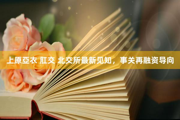 上原亞衣 肛交 北交所最新见知，事关再融资导向