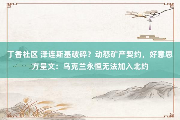 丁香社区 泽连斯基破碎？动怒矿产契约，好意思方呈文：乌克兰永恒无法加入北约