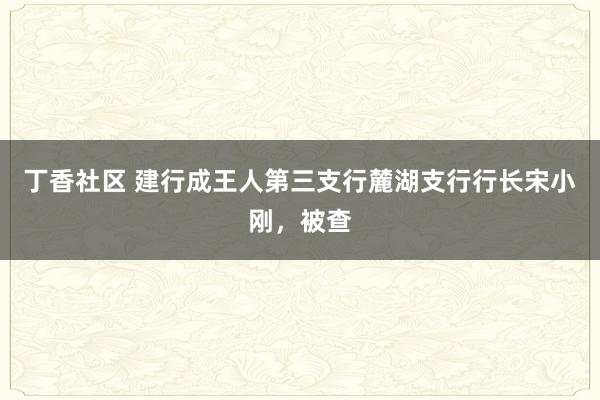 丁香社区 建行成王人第三支行麓湖支行行长宋小刚，被查