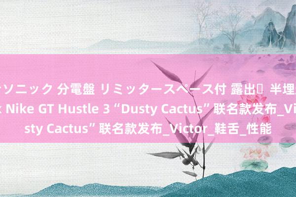 パナソニック 分電盤 リミッタースペース付 露出・半埋込両用形 文班亚马 x Nike GT Hustle 3“Dusty Cactus”联名款发布_Victor_鞋舌_性能