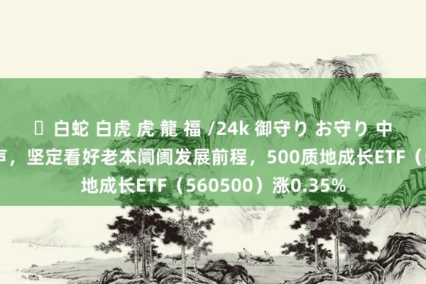 ✨白蛇 白虎 虎 龍 福 /24k 御守り お守り 中央汇金公司重磅发声，坚定看好老本阛阓发展前程，500质地成长ETF（560500）涨0.35%