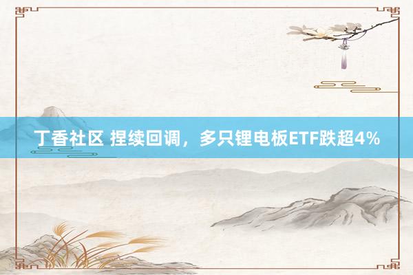 丁香社区 捏续回调，多只锂电板ETF跌超4%