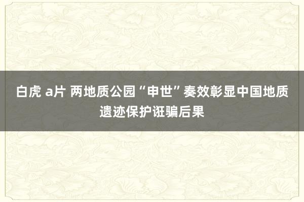 白虎 a片 两地质公园“申世”奏效彰显中国地质遗迹保护诳骗后果