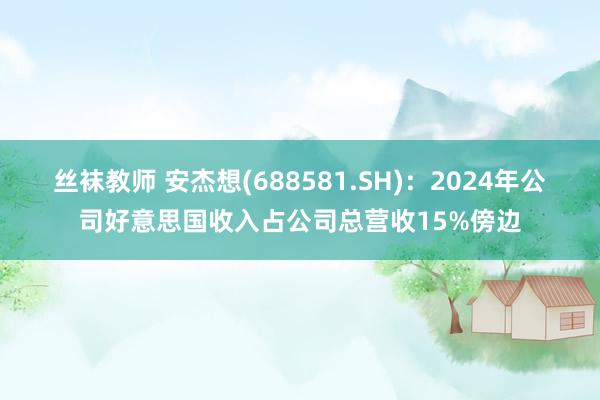 丝袜教师 安杰想(688581.SH)：2024年公司好意思国收入占公司总营收15%傍边