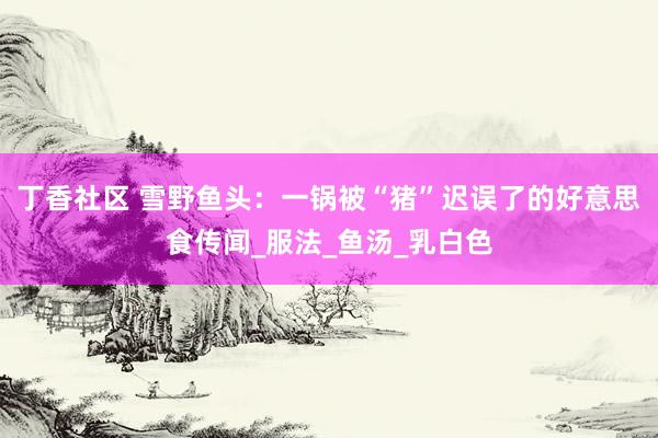 丁香社区 雪野鱼头：一锅被“猪”迟误了的好意思食传闻_服法_鱼汤_乳白色