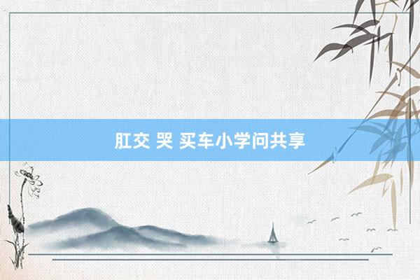 肛交 哭 买车小学问共享