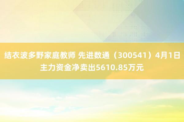 结衣波多野家庭教师 先进数通（300541）4月1日主力资金净卖出5610.85万元