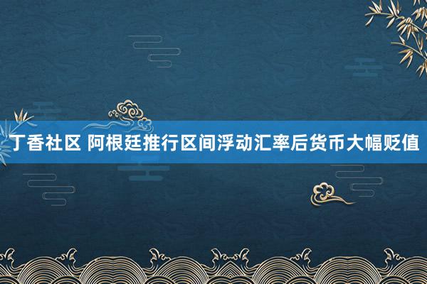 丁香社区 阿根廷推行区间浮动汇率后货币大幅贬值