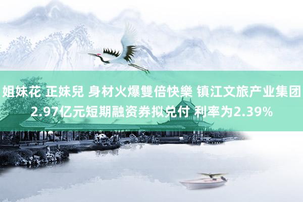 姐妹花 正妹兒 身材火爆雙倍快樂 镇江文旅产业集团2.97亿元短期融资券拟兑付 利率为2.39%
