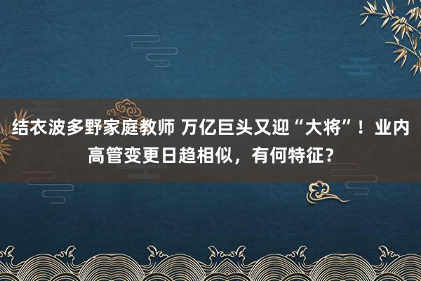 结衣波多野家庭教师 万亿巨头又迎“大将”！业内高管变更日趋相似，有何特征？