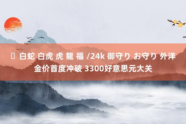 ✨白蛇 白虎 虎 龍 福 /24k 御守り お守り 外洋金价首度冲破 3300好意思元大关