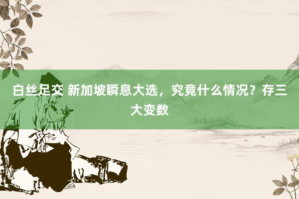 白丝足交 新加坡瞬息大选，究竟什么情况？存三大变数