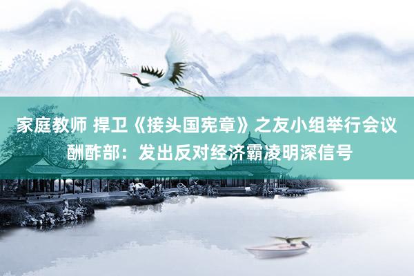 家庭教师 捍卫《接头国宪章》之友小组举行会议 酬酢部：发出反对经济霸凌明深信号