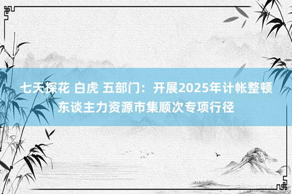 七天探花 白虎 五部门：开展2025年计帐整顿东谈主力资源市集顺次专项行径