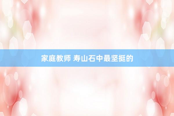 家庭教师 寿山石中最坚挺的