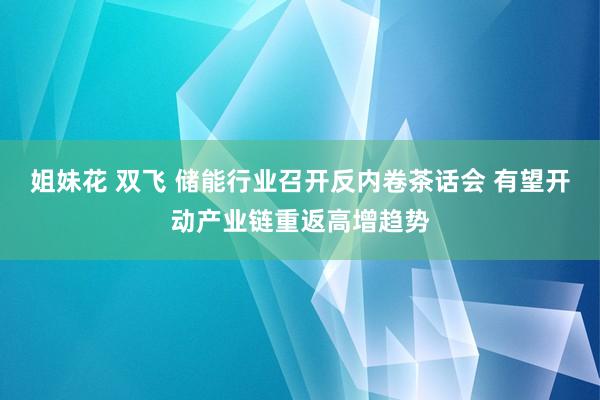 姐妹花 双飞 储能行业召开反内卷茶话会 有望开动产业链重返高增趋势