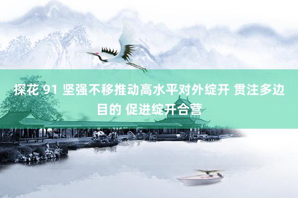 探花 91 坚强不移推动高水平对外绽开 贯注多边目的 促进绽开合营
